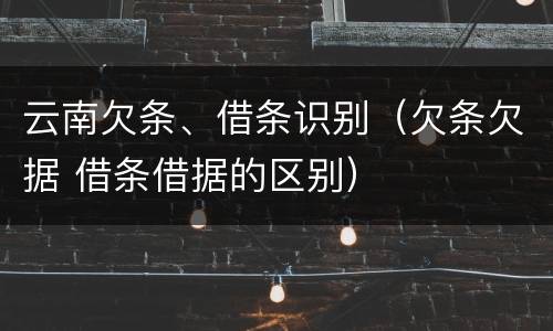云南欠条、借条识别（欠条欠据 借条借据的区别）