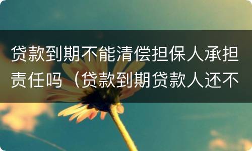 贷款到期不能清偿担保人承担责任吗（贷款到期贷款人还不了担保人怎么办）
