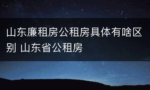 山东廉租房公租房具体有啥区别 山东省公租房