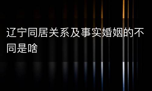 辽宁同居关系及事实婚姻的不同是啥