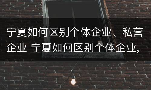 宁夏如何区别个体企业、私营企业 宁夏如何区别个体企业,私营企业和国企