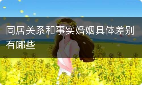 同居关系和事实婚姻具体差别有哪些