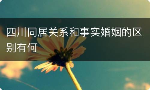 四川同居关系和事实婚姻的区别有何