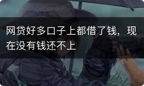 网贷好多口子上都借了钱，现在没有钱还不上