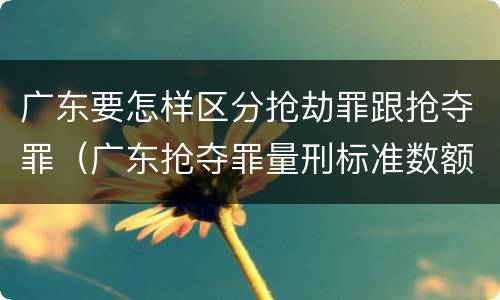 广东要怎样区分抢劫罪跟抢夺罪（广东抢夺罪量刑标准数额）