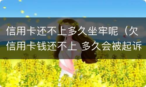 信用卡还不上多久坐牢呢（欠信用卡钱还不上 多久会被起诉）