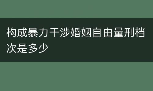 构成暴力干涉婚姻自由量刑档次是多少