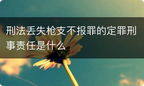 刑法丢失枪支不报罪的定罪刑事责任是什么