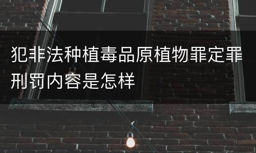 犯非法种植毒品原植物罪定罪刑罚内容是怎样