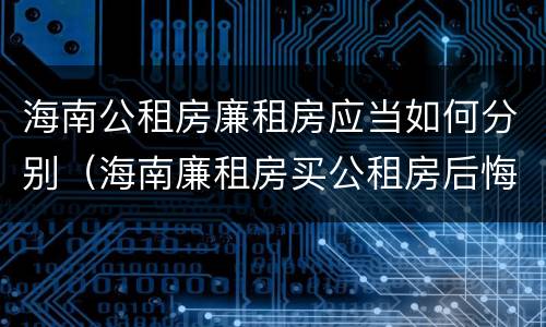 海南公租房廉租房应当如何分别（海南廉租房买公租房后悔了）