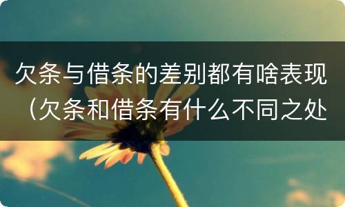 欠条与借条的差别都有啥表现（欠条和借条有什么不同之处）