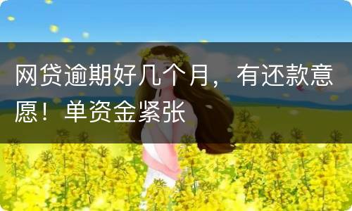 网贷逾期好几个月，有还款意愿！单资金紧张