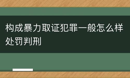 构成暴力取证犯罪一般怎么样处罚判刑