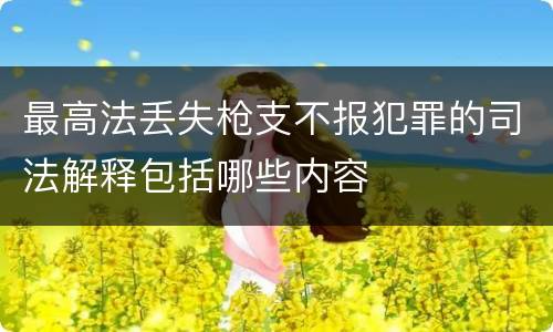 最高法丢失枪支不报犯罪的司法解释包括哪些内容