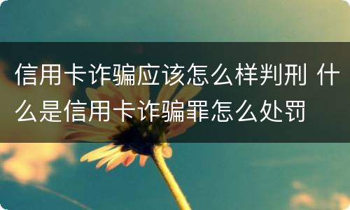 信用卡诈骗应该怎么样判刑 什么是信用卡诈骗罪怎么处罚