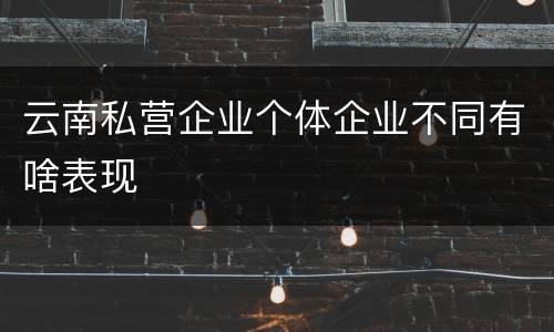 云南私营企业个体企业不同有啥表现