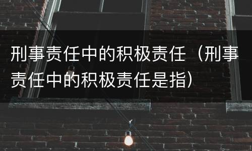 刑事责任中的积极责任（刑事责任中的积极责任是指）