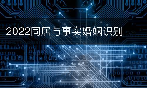 2022同居与事实婚姻识别
