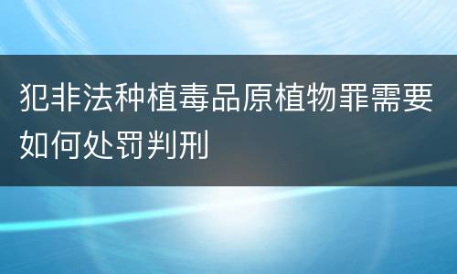 犯非法种植毒品原植物罪需要如何处罚判刑