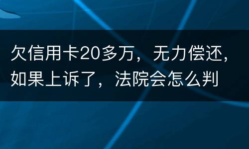 欠信用卡20多万，无力偿还，如果上诉了，法院会怎么判