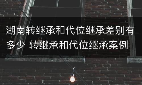 湖南转继承和代位继承差别有多少 转继承和代位继承案例