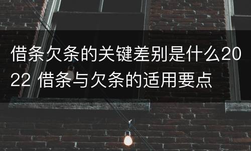 借条欠条的关键差别是什么2022 借条与欠条的适用要点