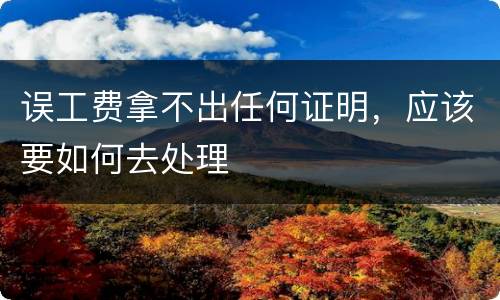 误工费拿不出任何证明，应该要如何去处理