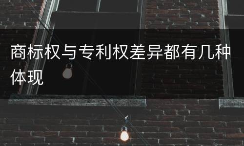 商标权与专利权差异都有几种体现