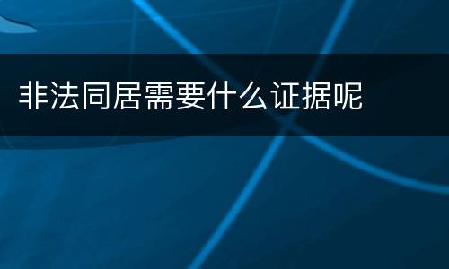 非法同居需要什么证据呢