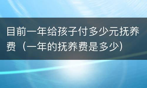 目前一年给孩子付多少元抚养费（一年的抚养费是多少）