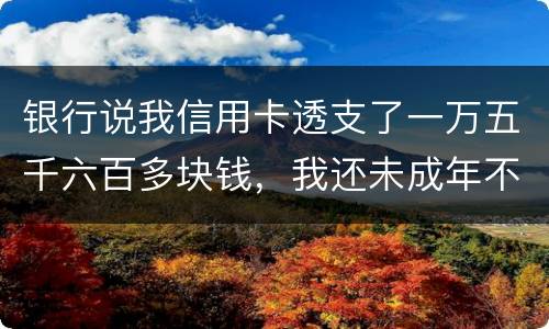 银行说我信用卡透支了一万五千六百多块钱，我还未成年不可能办信用卡，怎么可能