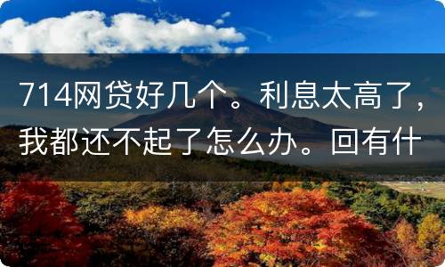714网贷好几个。利息太高了，我都还不起了怎么办。回有什么后果
