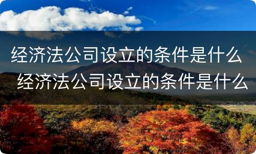 经济法公司设立的条件是什么 经济法公司设立的条件是什么意思