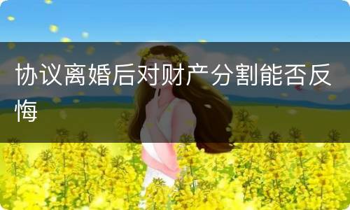 协议离婚后对财产分割能否反悔