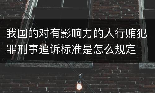 我国的对有影响力的人行贿犯罪刑事追诉标准是怎么规定