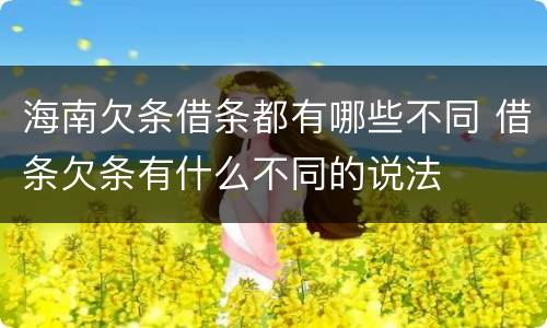 海南欠条借条都有哪些不同 借条欠条有什么不同的说法