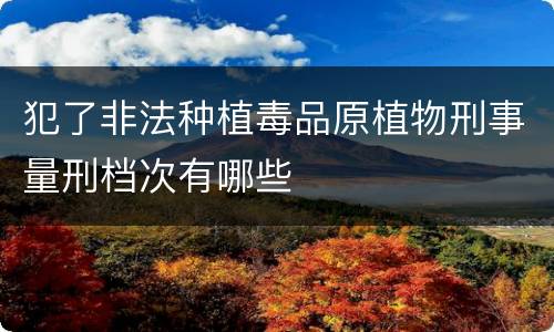 犯了非法种植毒品原植物刑事量刑档次有哪些