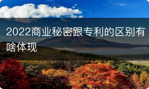 2022商业秘密跟专利的区别有啥体现