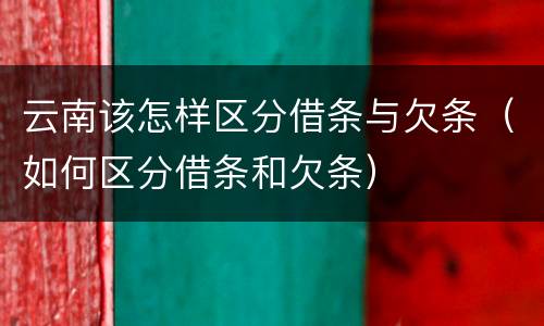 云南该怎样区分借条与欠条（如何区分借条和欠条）