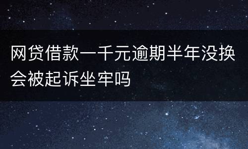 网贷借款一千元逾期半年没换会被起诉坐牢吗