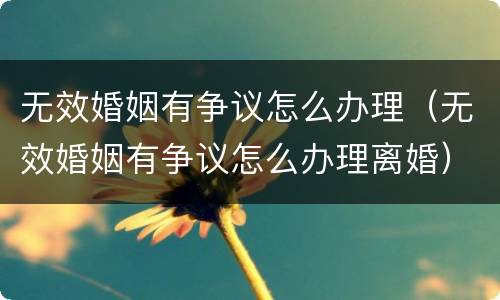 无效婚姻有争议怎么办理（无效婚姻有争议怎么办理离婚）
