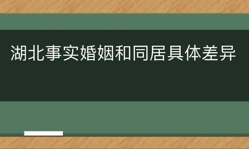 湖北事实婚姻和同居具体差异