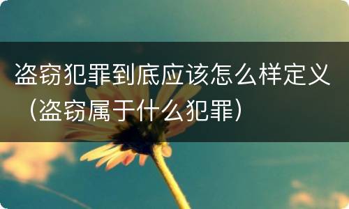 盗窃犯罪到底应该怎么样定义（盗窃属于什么犯罪）