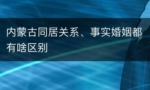 内蒙古同居关系、事实婚姻都有啥区别