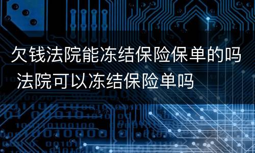 欠钱法院能冻结保险保单的吗 法院可以冻结保险单吗