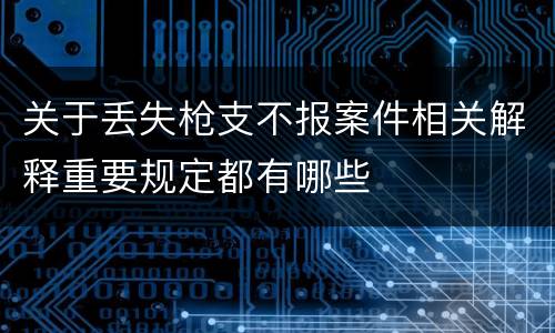 关于丢失枪支不报案件相关解释重要规定都有哪些