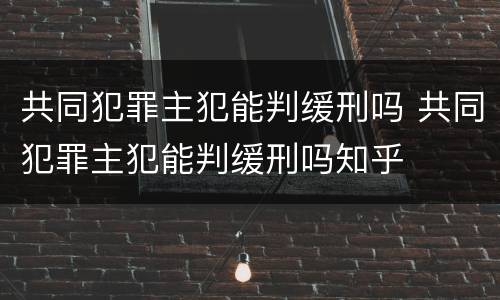共同犯罪主犯能判缓刑吗 共同犯罪主犯能判缓刑吗知乎