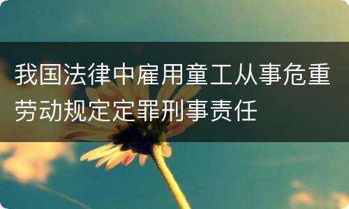 我国法律中雇用童工从事危重劳动规定定罪刑事责任