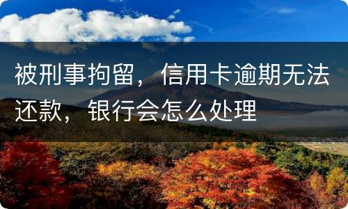 被刑事拘留，信用卡逾期无法还款，银行会怎么处理