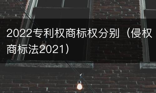 2022专利权商标权分别（侵权商标法2021）